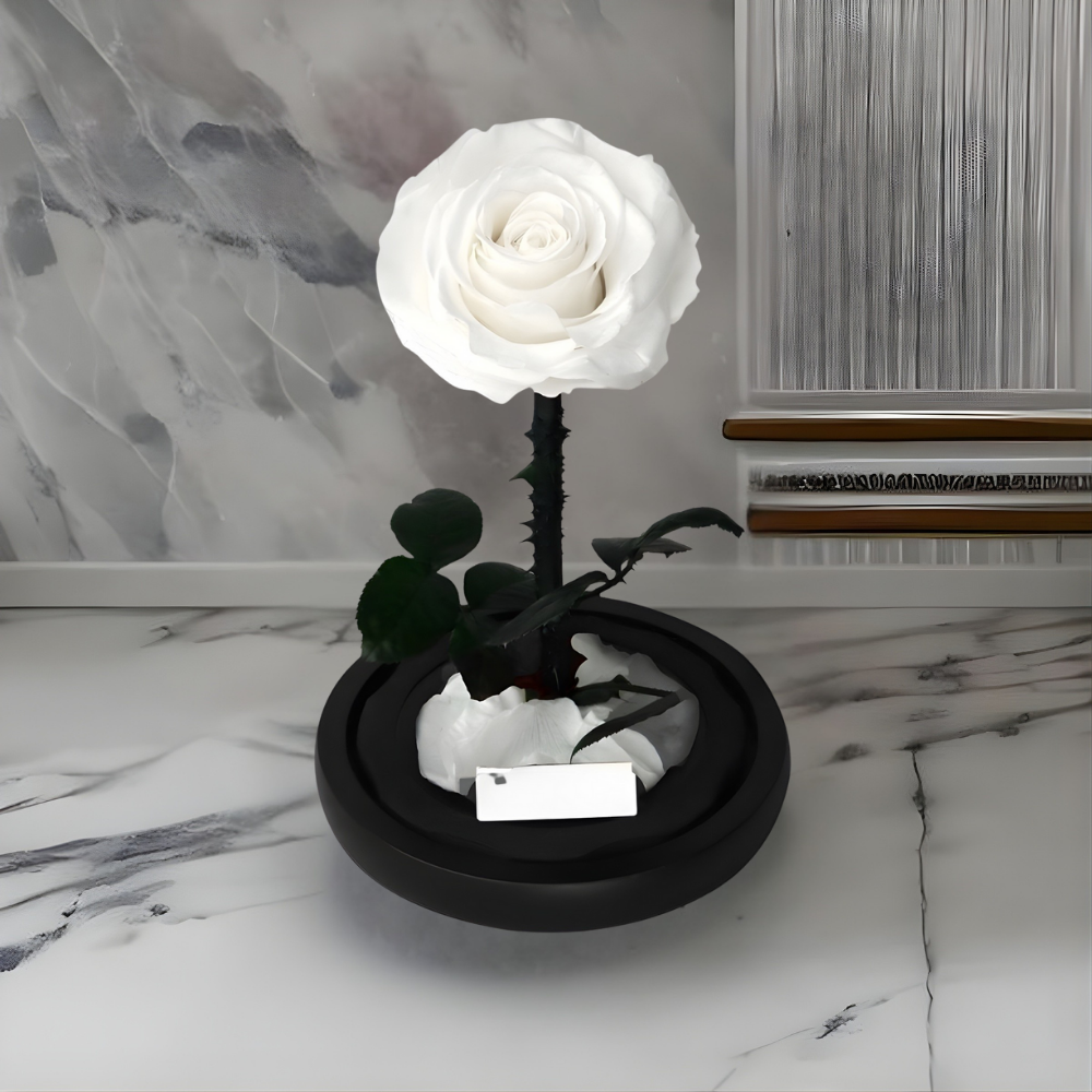Cadeau Roos Glazen Stolp Langhoudend Romantisch Decoratief Geschenk