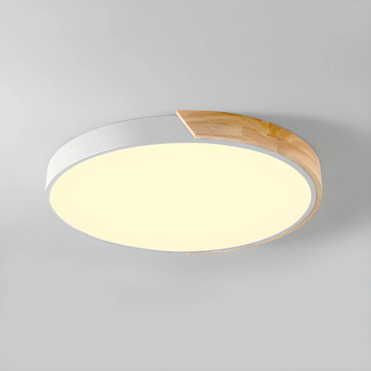 Ronde LED Plafondlamp met Kleuraccent