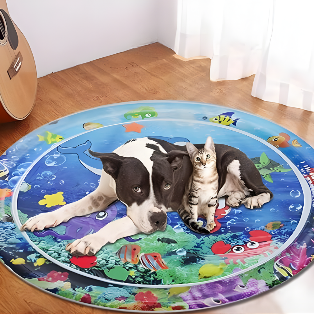 Katten Speelmat Water Interactieve Sensorische Speelmat Kat