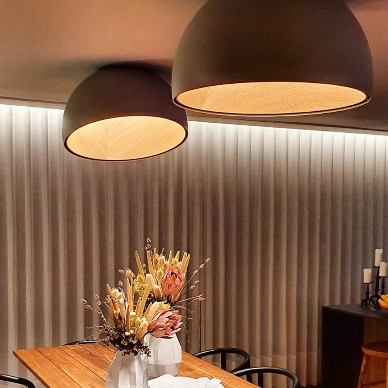 Minimalistische Luxe Duo Plafondlamp