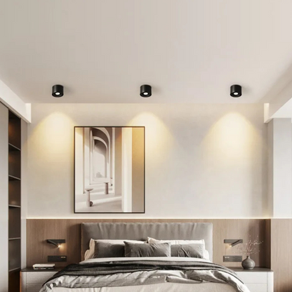Dimbare Opbouw LED Plafondlamp