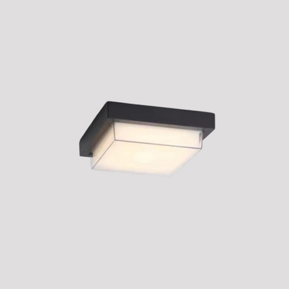 Stijlvolle Weerbestendige LED Buiten Plafondlamp