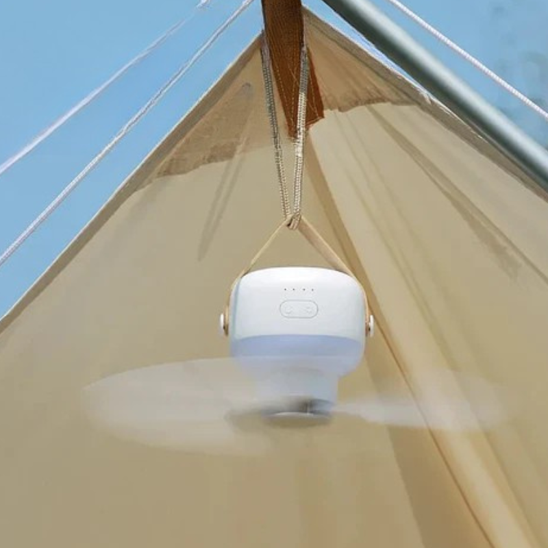 Luxe Plafondventilator met LED Verlichting