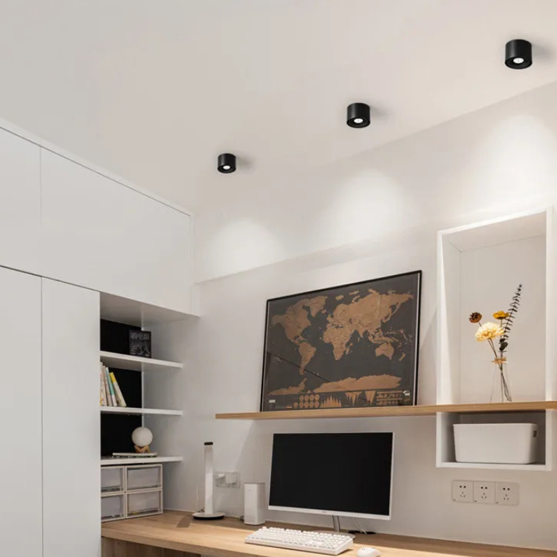 Dimbare Opbouw LED Plafondlamp