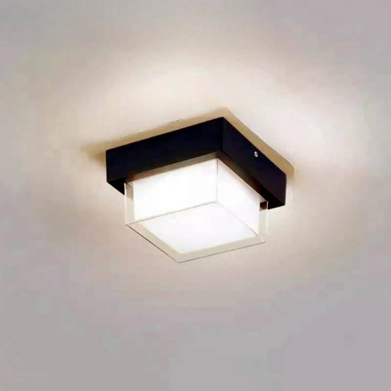 Stijlvolle Weerbestendige LED Buiten Plafondlamp