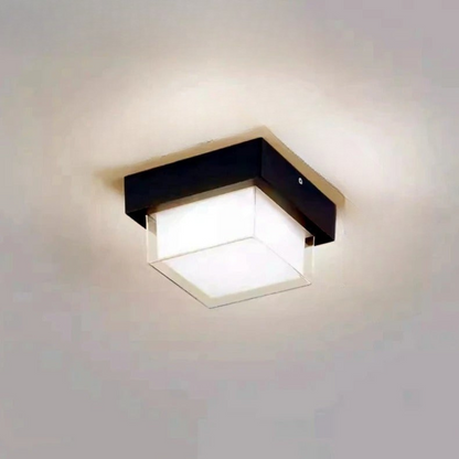 Stijlvolle Weerbestendige LED Buiten Plafondlamp