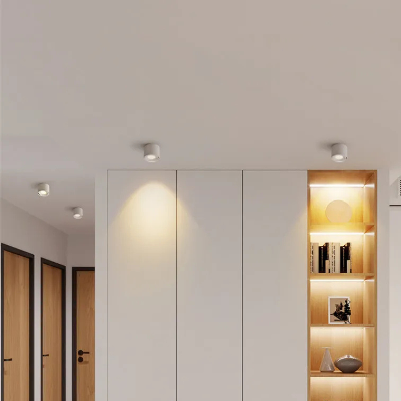 Dimbare Opbouw LED Plafondlamp