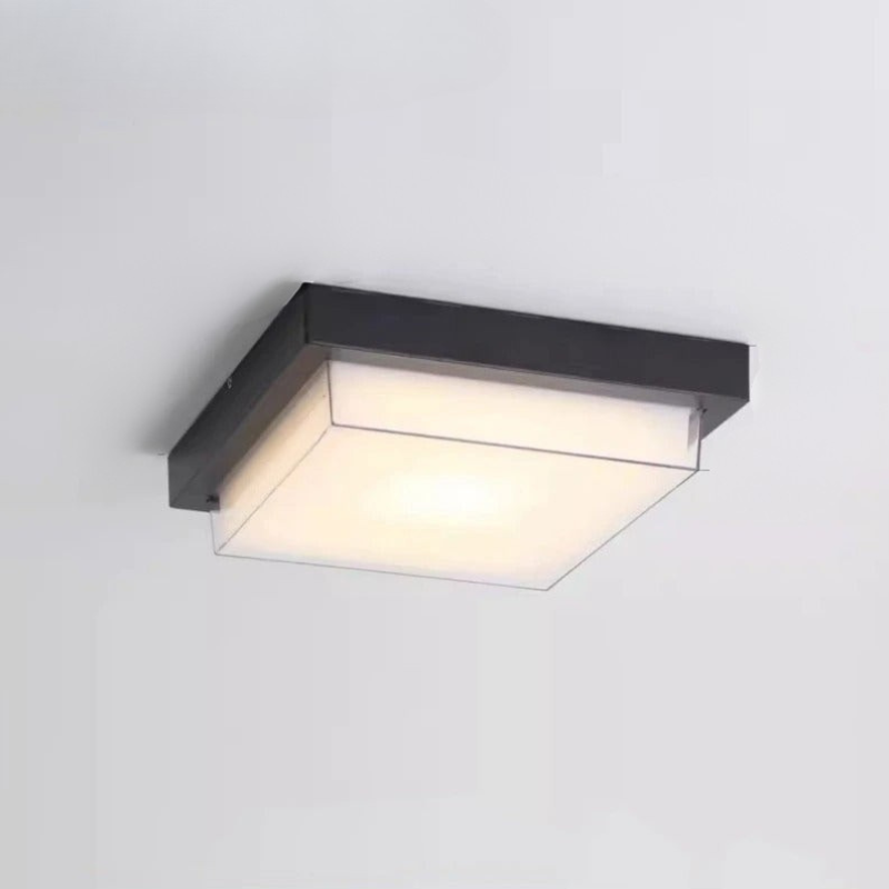 Stijlvolle Weerbestendige LED Buiten Plafondlamp