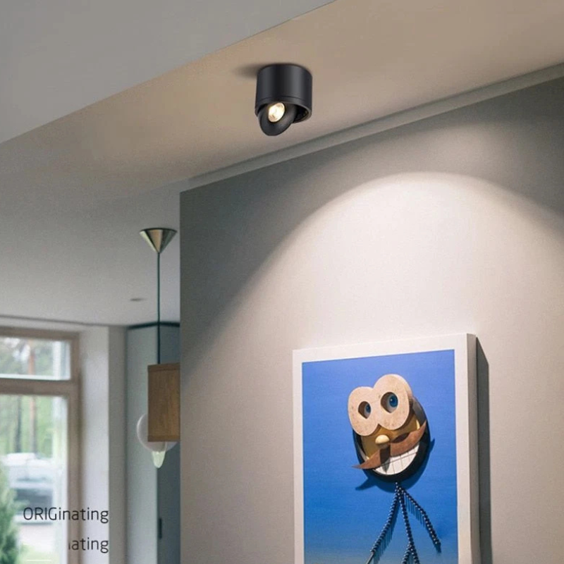 Dimbare Opbouw LED Plafondlamp