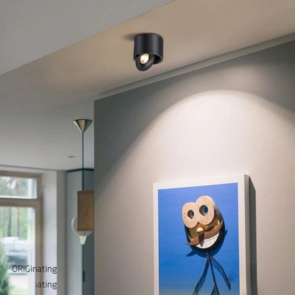 Dimbare Opbouw LED Plafondlamp