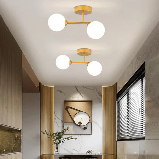 Moderne Noordse Dubbele Glas Plafondlamp