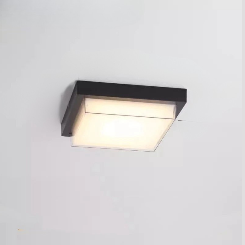 Stijlvolle Weerbestendige LED Buiten Plafondlamp