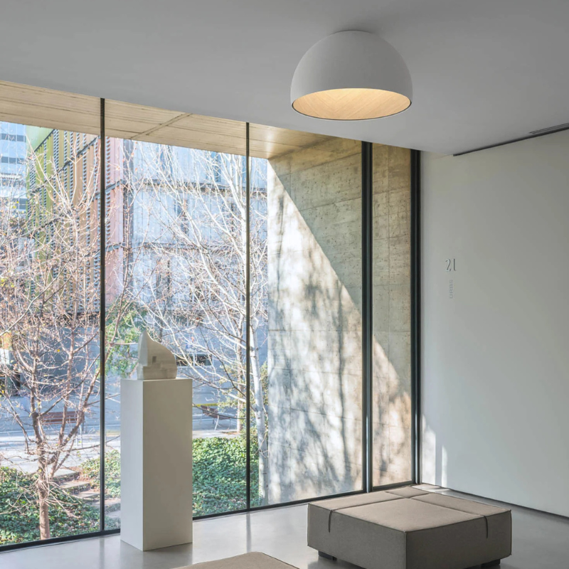 Minimalistische Luxe Duo Plafondlamp