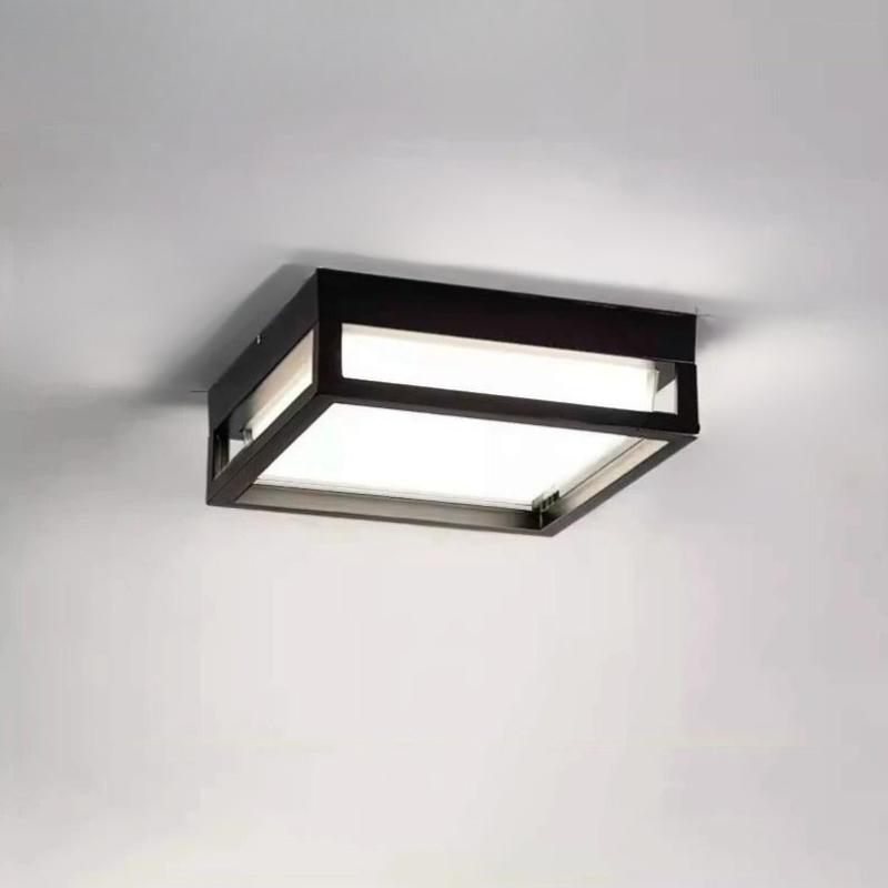 Stijlvolle Weerbestendige LED Buiten Plafondlamp
