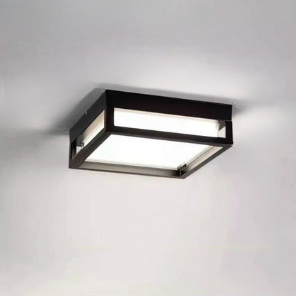 Stijlvolle Weerbestendige LED Buiten Plafondlamp