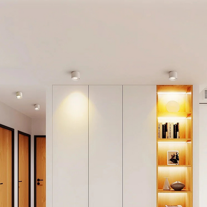 Dimbare Opbouw LED Plafondlamp