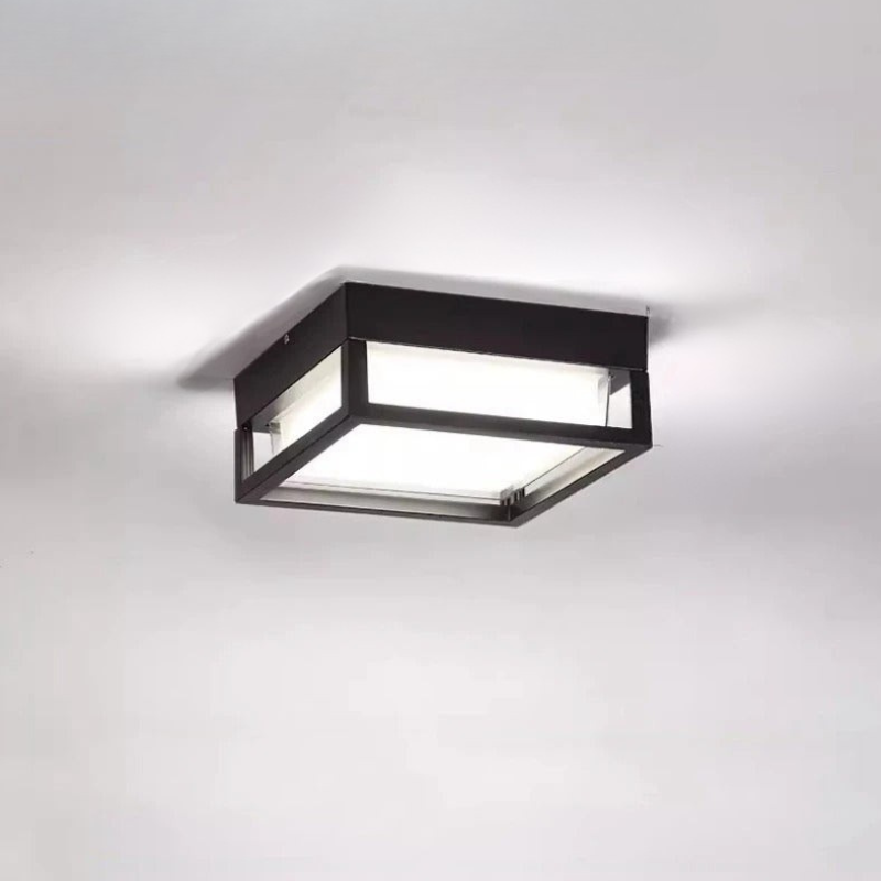 Stijlvolle Weerbestendige LED Buiten Plafondlamp