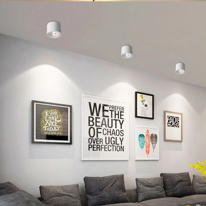 Dimbare Opbouw LED Plafondlamp