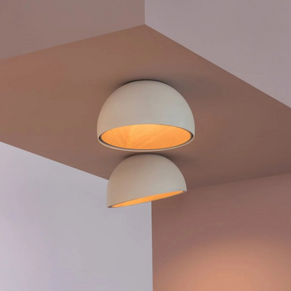 Minimalistische Luxe Duo Plafondlamp