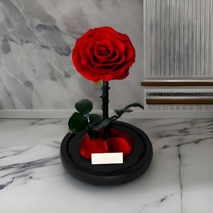 Cadeau Roos Glazen Stolp Langhoudend Romantisch Decoratief Geschenk