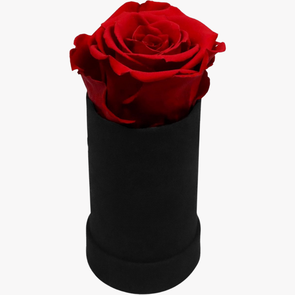 Cadeau Roos Suede Tube Langhoudend Romantisch Decoratief Geschenk