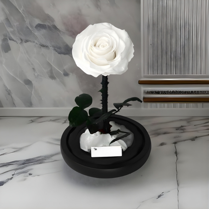 Cadeau Roos Glazen Stolp Langhoudend Romantisch Decoratief Geschenk