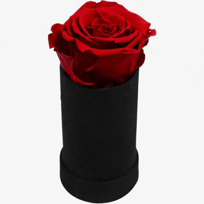 Cadeau Roos Suede Tube Langhoudend Romantisch Decoratief Geschenk