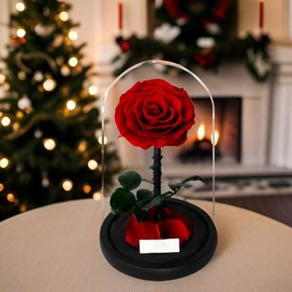 Cadeau Roos Glazen Stolp Langhoudend Romantisch Decoratief Geschenk