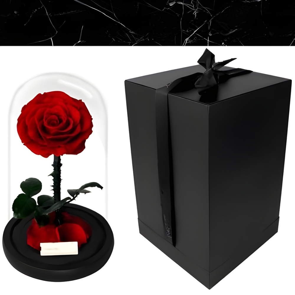 Cadeau Roos Glazen Stolp Langhoudend Romantisch Decoratief Geschenk