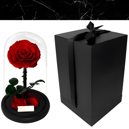 Cadeau Roos Glazen Stolp Langhoudend Romantisch Decoratief Geschenk