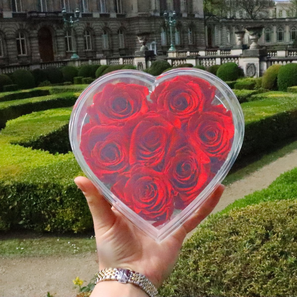 Cadeau Rozen Acryl Hart Langhoudend Romantisch Decoratief Geschenk