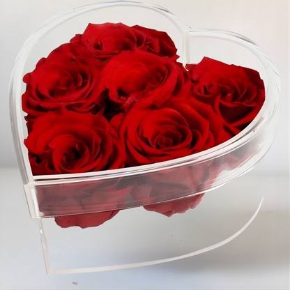 Cadeau Rozen Acryl Hart Langhoudend Romantisch Decoratief Geschenk