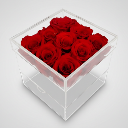 Cadeau Rozen Acryl Hart Langhoudend Romantisch Decoratief Geschenk