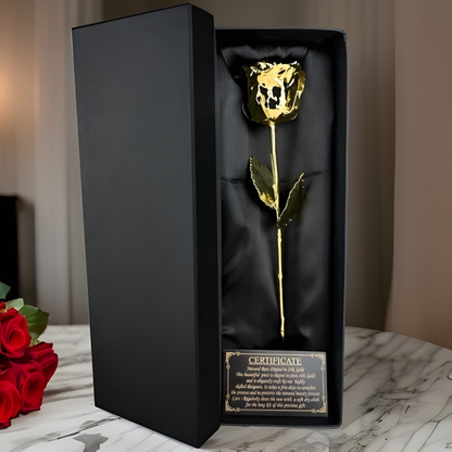 Decoratieve Roos Valentijnsdag Luxe Cadeau Vaas