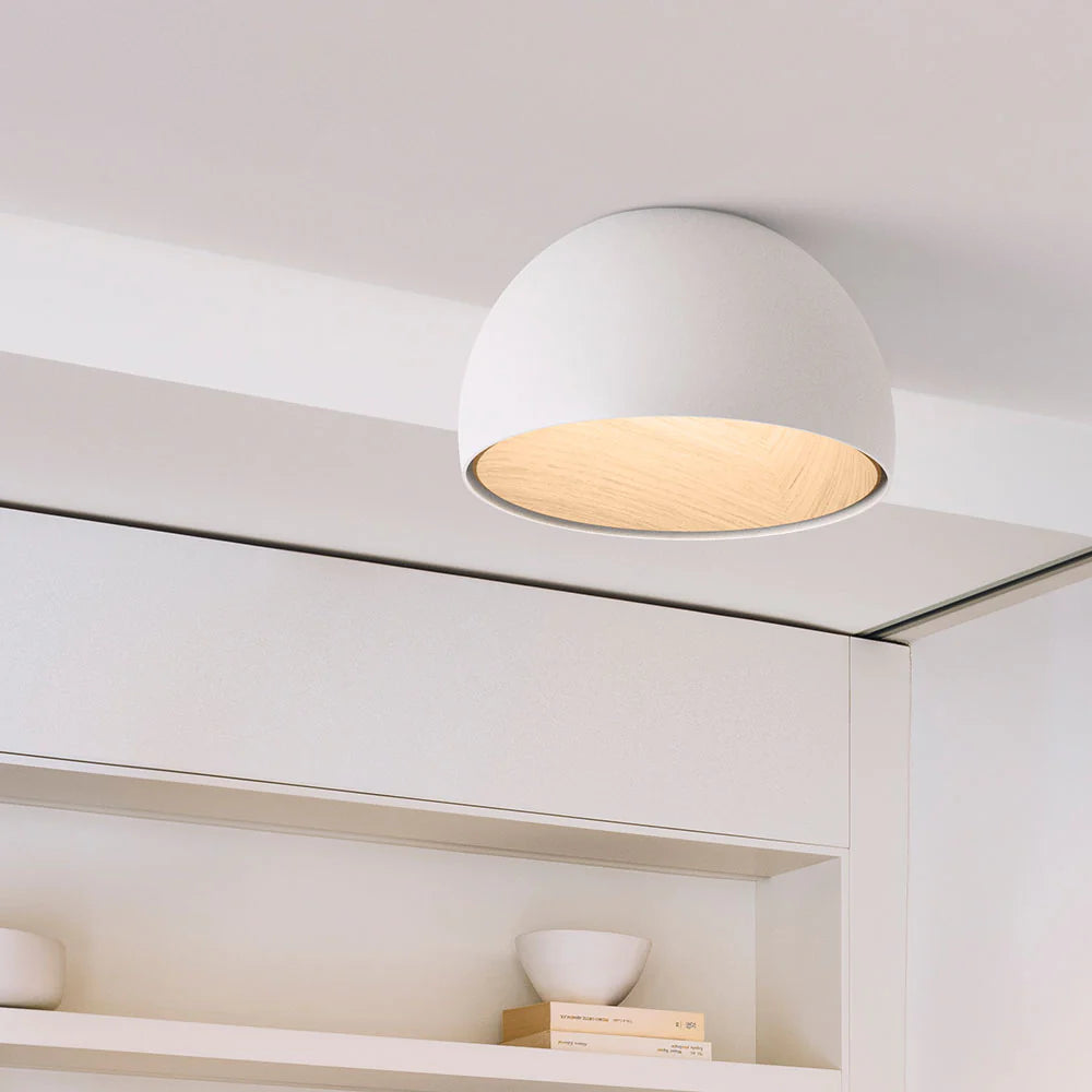 Minimalistische Luxe Duo Plafondlamp