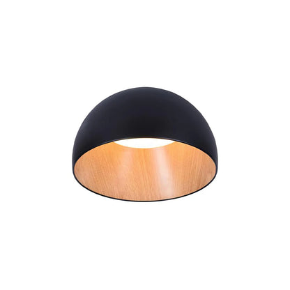 Minimalistische Luxe Duo Plafondlamp
