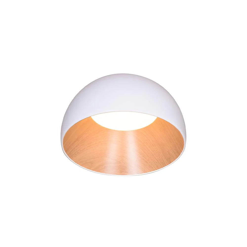 Minimalistische Luxe Duo Plafondlamp