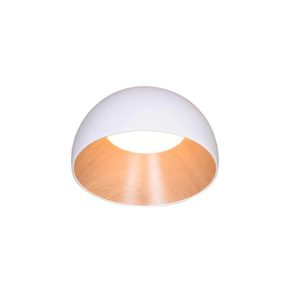 Minimalistische Luxe Duo Plafondlamp