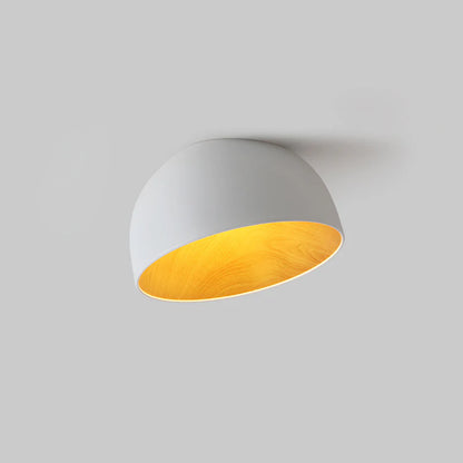 Minimalistische Luxe Duo Plafondlamp