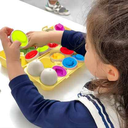 Educatief Speelgoed Peuter Montessori Vormen Match Eieren