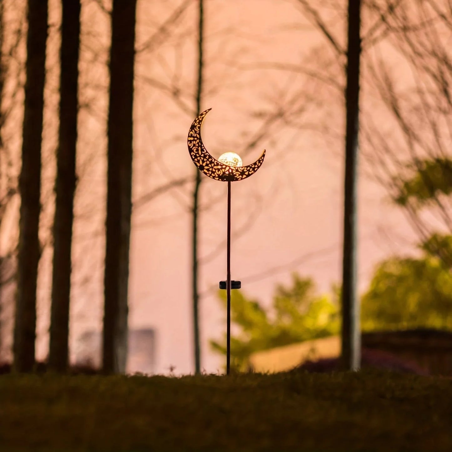 Magische Sfeer Hemelse Tuinlamp