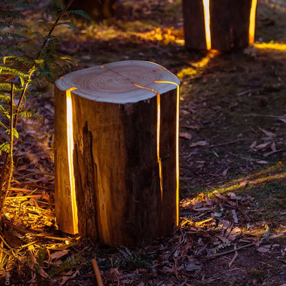 Natuurlijke Buiten LED Boomstronk Lamp