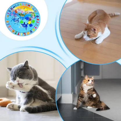 Katten Speelmat Water Interactieve Sensorische Speelmat Kat