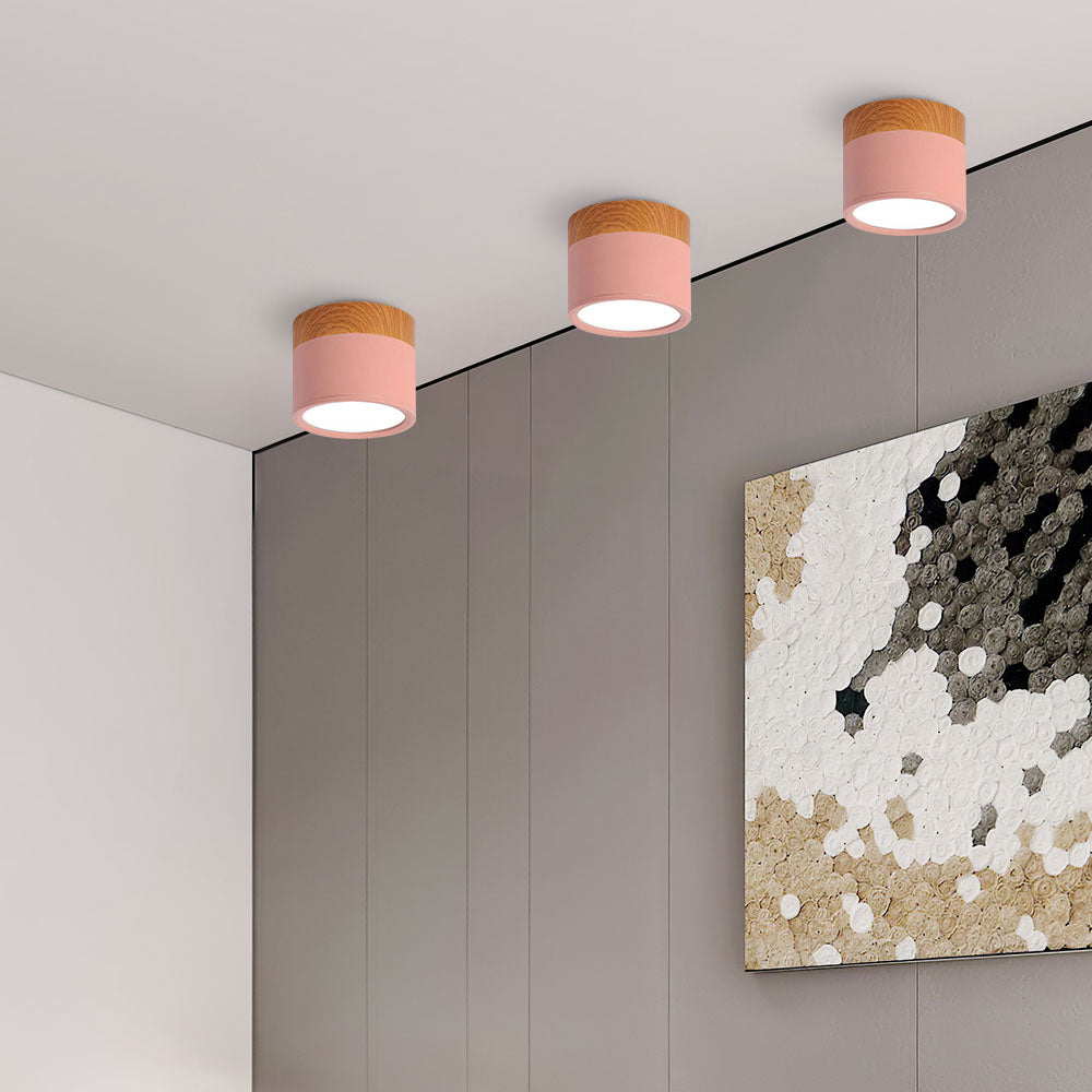 Plafondlamp LED Cilinder Aluminium Moderne Opbouw Lamp