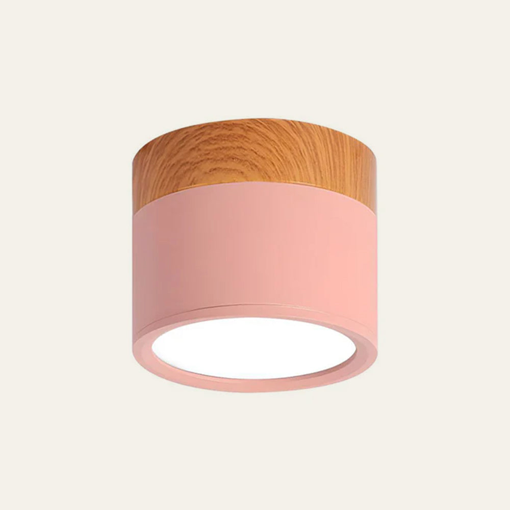 Plafondlamp LED Cilinder Aluminium Moderne Opbouw Lamp