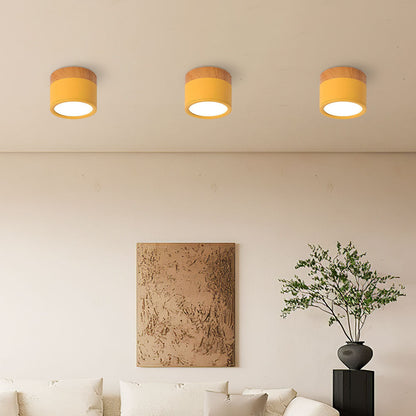 Plafondlamp LED Cilinder Aluminium Moderne Opbouw Lamp