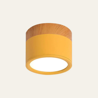 Plafondlamp LED Cilinder Aluminium Moderne Opbouw Lamp