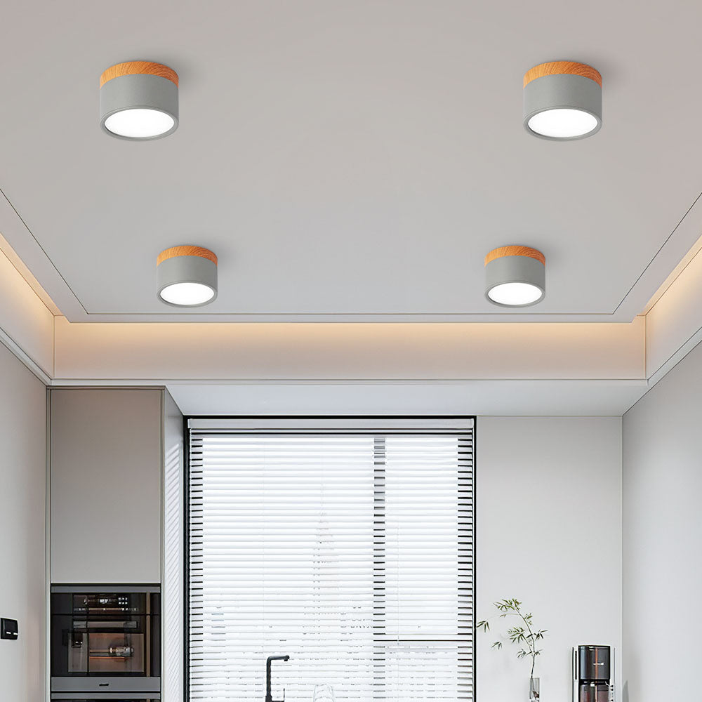 Plafondlamp LED Cilinder Aluminium Moderne Opbouw Lamp