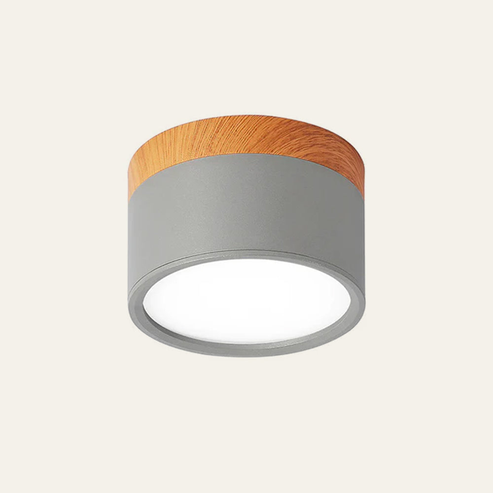 Plafondlamp LED Cilinder Aluminium Moderne Opbouw Lamp