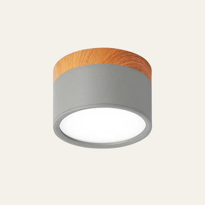 Plafondlamp LED Cilinder Aluminium Moderne Opbouw Lamp